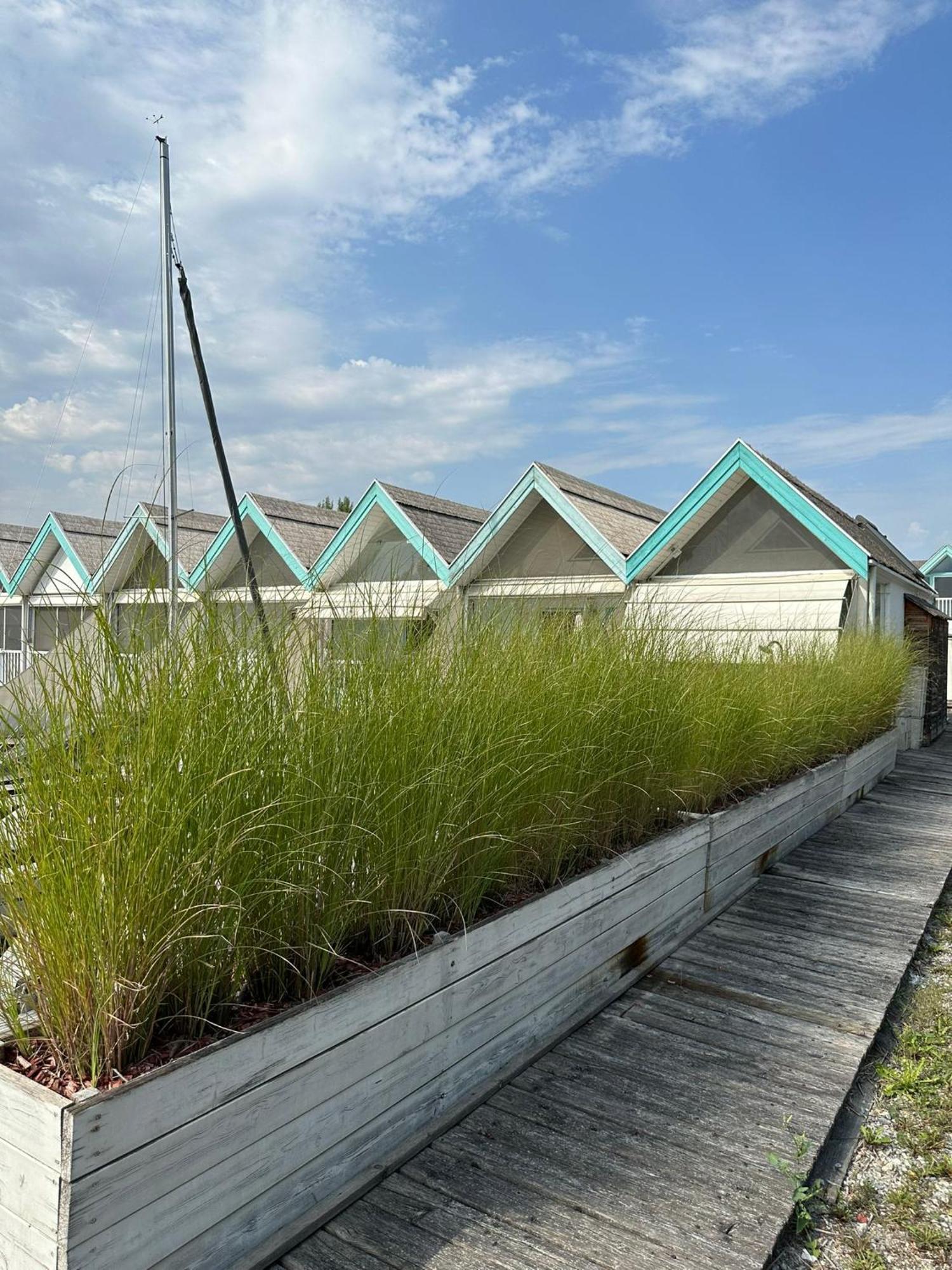 Haus Am See Neusiedl am See Esterno foto