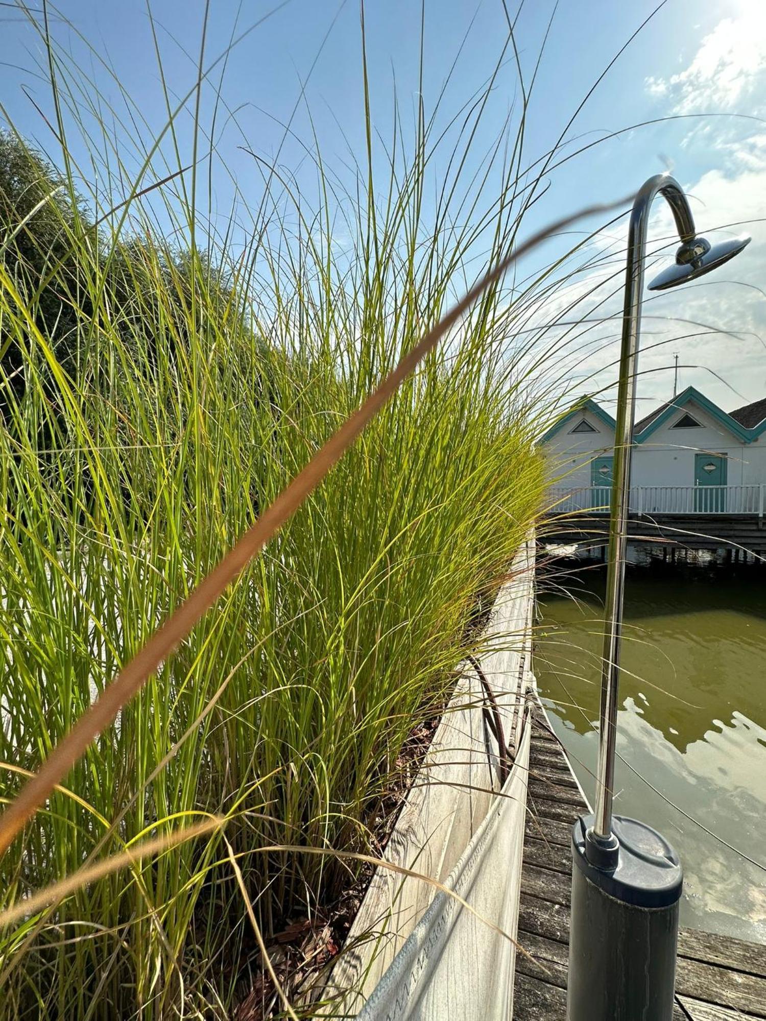 Haus Am See Neusiedl am See Esterno foto